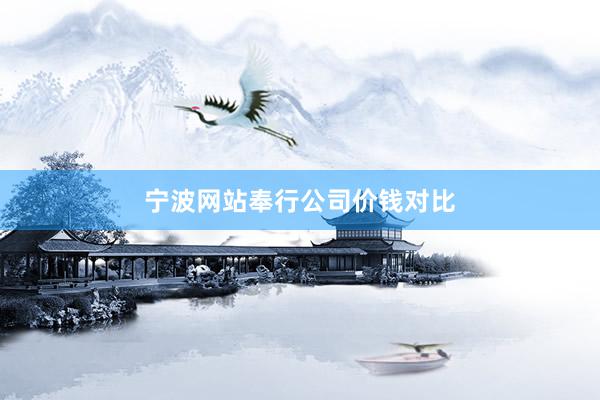 宁波网站奉行公司价钱对比